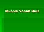 vocab quiz pp