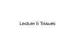 Four Tissue Types