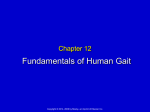 Chapter 12 Textbook Gait