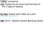 TOPIC: Locomotion AIM: What are the parts and functions of the