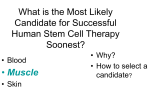 What is the Most Likely Candidate for Successful Human Stem Cell