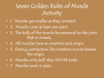 Joints & Muscle Movement
