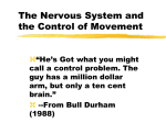 The Nervous System and the Control of Movement