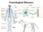 The Nervous System - Dr. Brahmbhatt`s Class Handouts