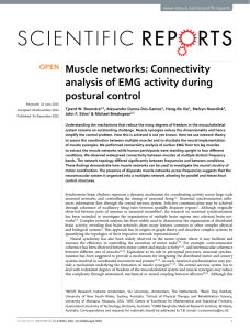 Muscle networks: Connectivity analysis of EMG activity during postural control