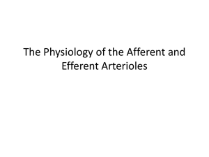 The Physiology of the Afferent and Efferent Arterioles