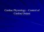 Cardiac Physiology – Control of Cardiac Output