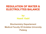 Regulation of Water