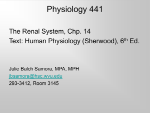 Physiology 441 - West Virginia University