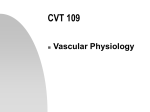 CVT 109 - University Health