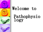 What is pathophysiology?