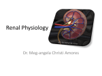 Renal and Acid Base Physiology