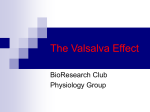 The Valsalva Effect