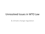 Unresolved Issues in WTO Law