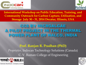 A Pilot Project in the Thermal Power Plant of NALCO, India (Pradhan).