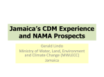 Jamaica*s CDM Experience and NAMA Prospects