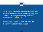 21.SEA_requirements_EC_DG_Envi_Ion_Codescu