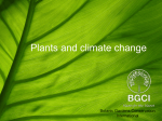 Plants and climate change