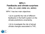 WP4.1: Feedbacks and climate surprises (IPSL, HC, CNRM