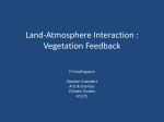 Land-Atmosphere Interaction : Vegetation Feedback