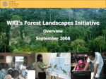 Forest Landscapes Objective 12 Sept 2007