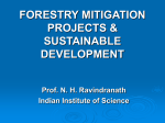 FORESTRY MITIGATION PROJECTS & SUSTAINABLE …