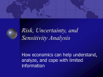 Risk, Uncertainty, and Sensitivity Analysis