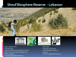 Hani & Sattout_Shouf BR and climate change
