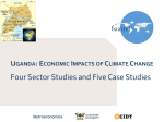 Review of the UN-REDD Policy Board Structure