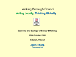 Woking Borough Council - A.M. PREDA -