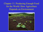 Chapter 11:Producing Enough Food for the World: How Agriculture