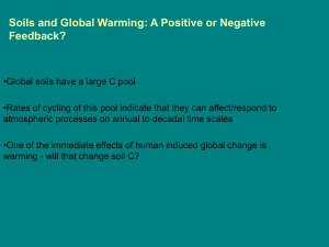 Soils and Global Warming: A Positive or Negative Feedback?