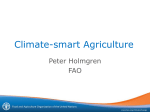 Climate Smart Agriculture - Food and Agriculture Organization of the
