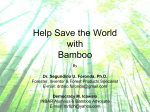 Help Save The World with Bamboo