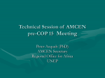 Technical Session of AMCEN Pre-COP 15 Meeting