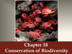 Chapter 18 PPT