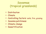 09_Savannas