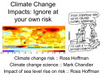 Climate change risk