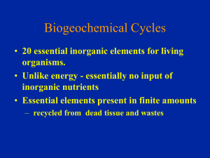 Important Concepts for chemical cycling
