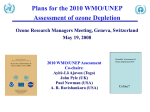 Plans for the 2010 WMO/UNEP
