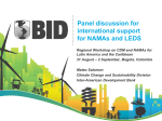 Panel discussion for international support for NAMAs and