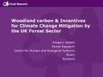 Woodland carbon & incentives for climate change mitigation by the