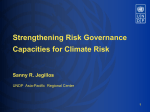 Strengthening Risk Governance Capacities for
