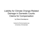Liability for climate change-related damage in