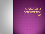 Consumption Concept and Model
