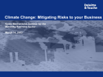 Climate Change: Risk Management/Internal Audit