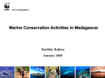 Marine Conservation Activities in Madagascar