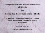 and Bering Sea Ecosystem Study (BEST)