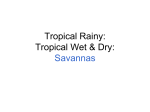 Tropical Savannas