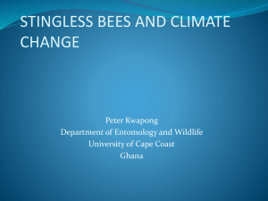 Stingless bees - IFES Symposium on Climate Change